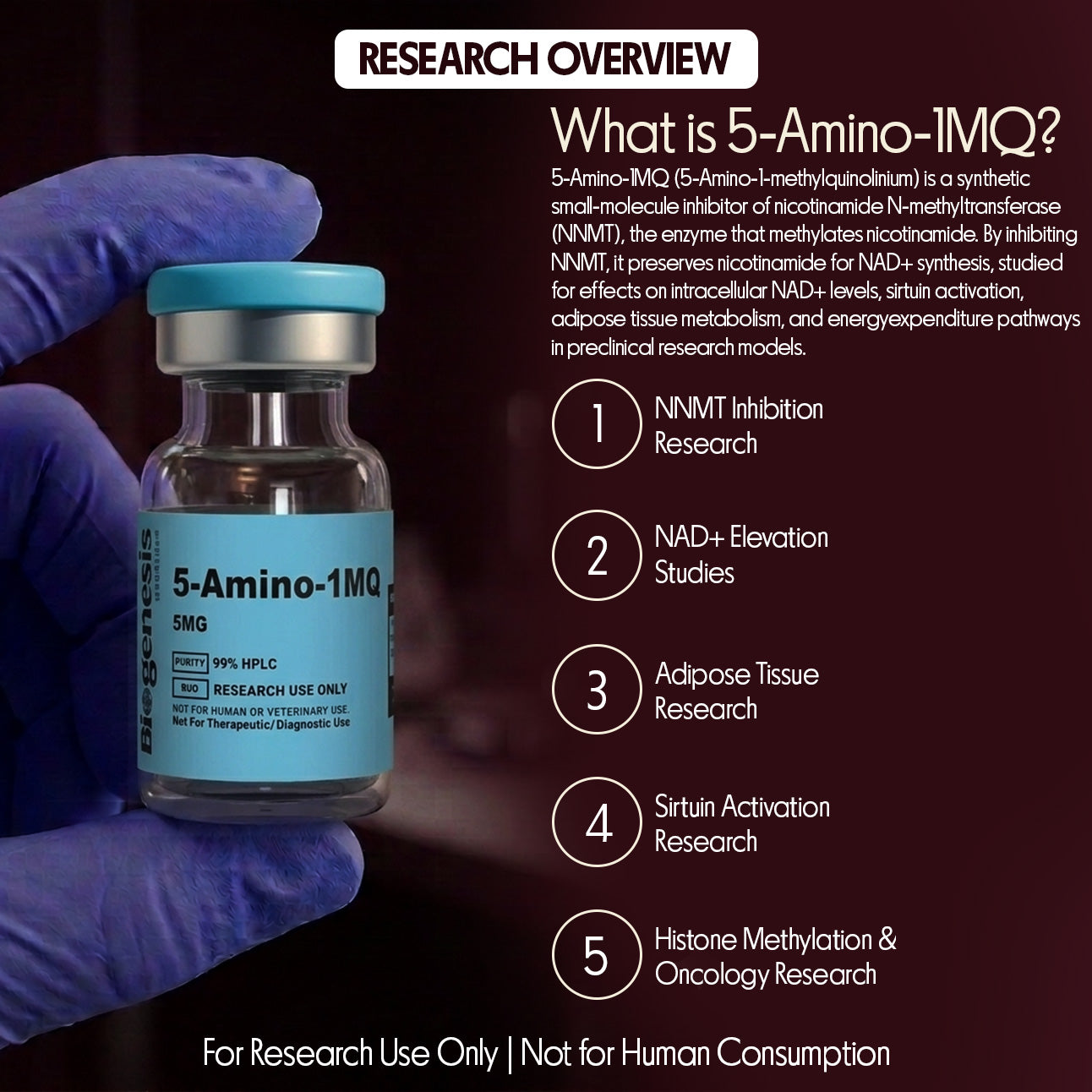 5-Amino-1MQ · 5mg NNMT Inhibitor · Small Molecule (Quinolinium) · Metabolic & NAD+ Research