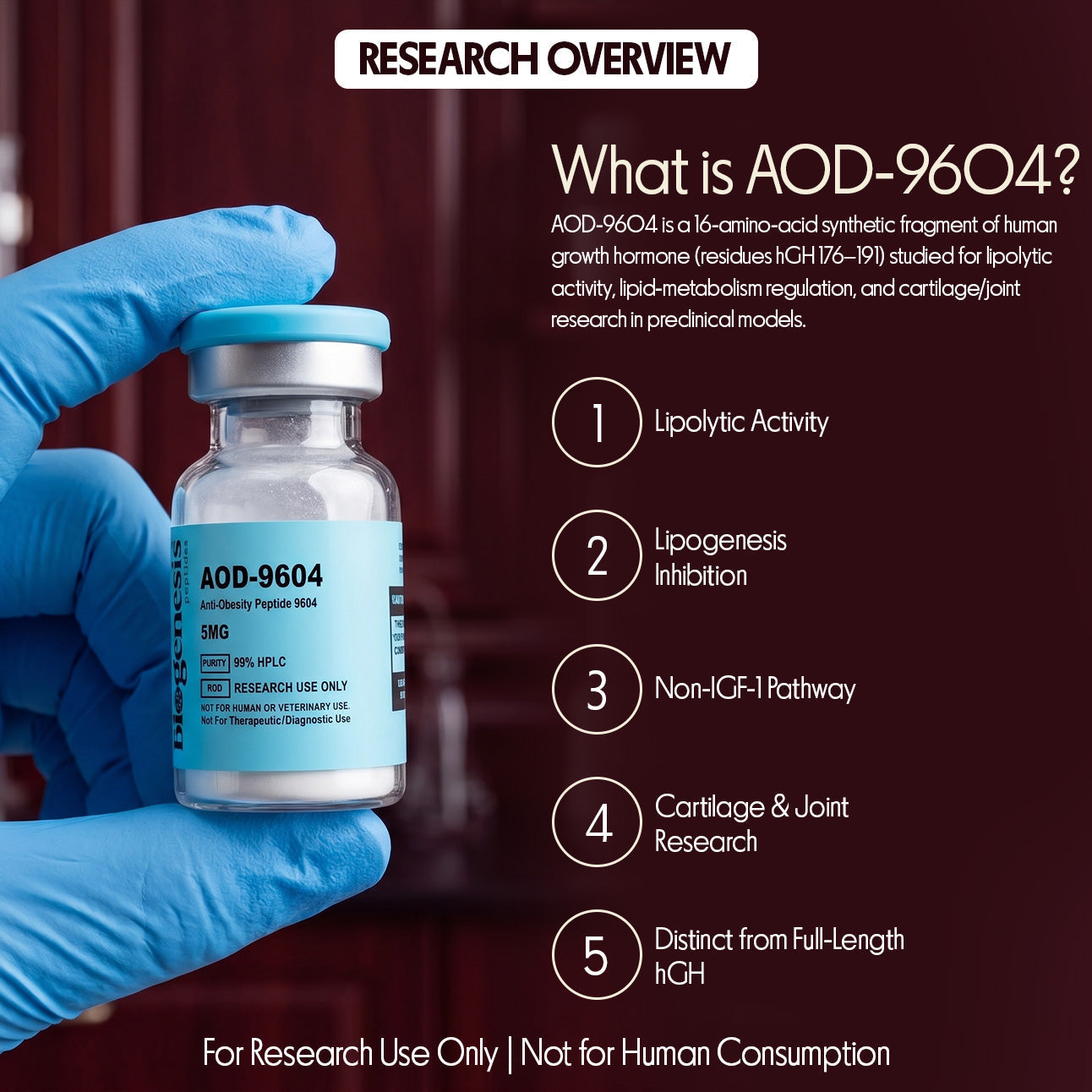 AOD-9604 · hGH Fragment (176–191) · Lipid Metabolism Research