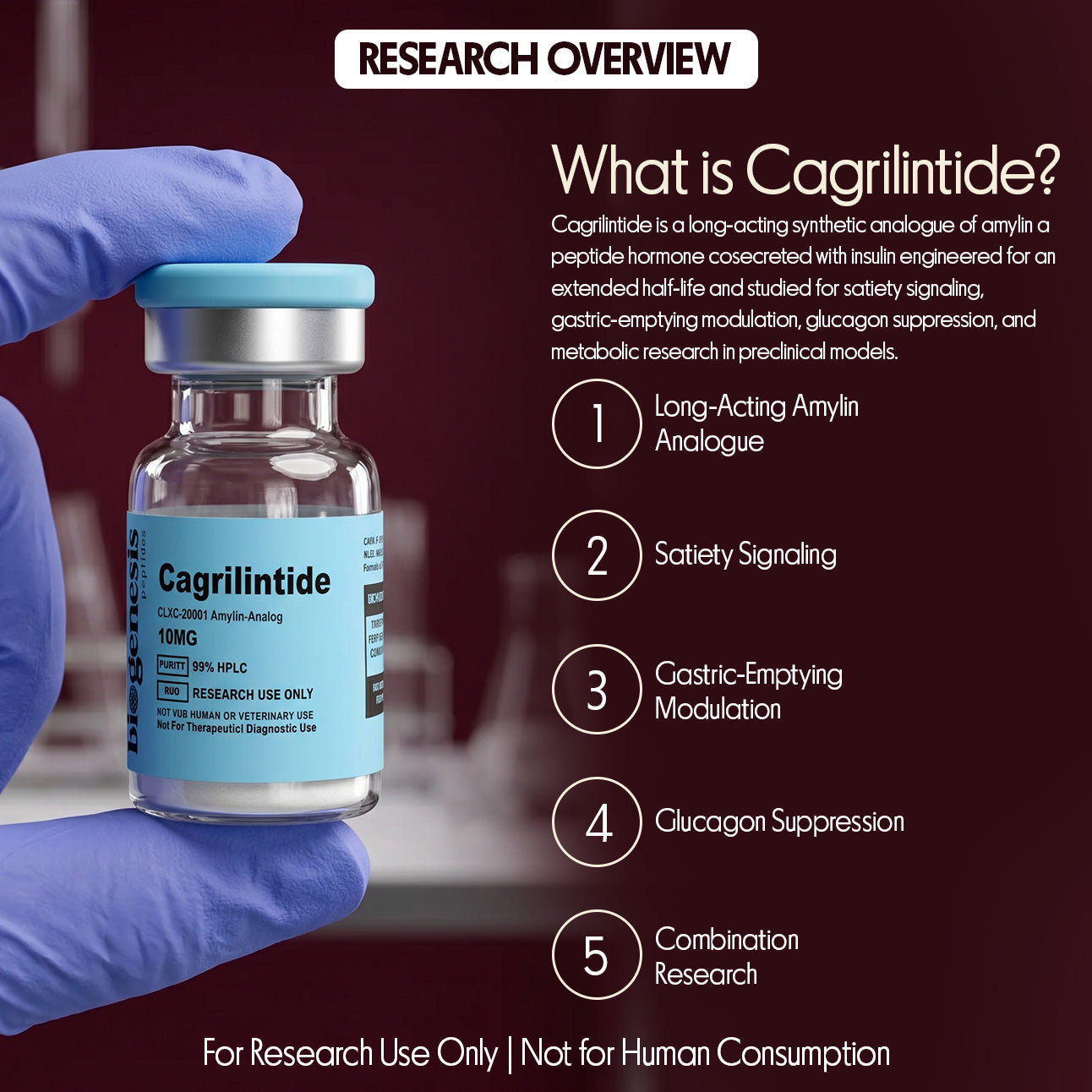 Cagrilintide · 10mg Long-Acting Amylin Analogue · Metabolic & Satiety Research