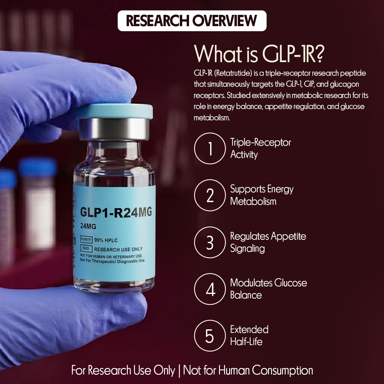 GLP1-R 24mg ·  Retatrutide (Triple Receptor Agonist)