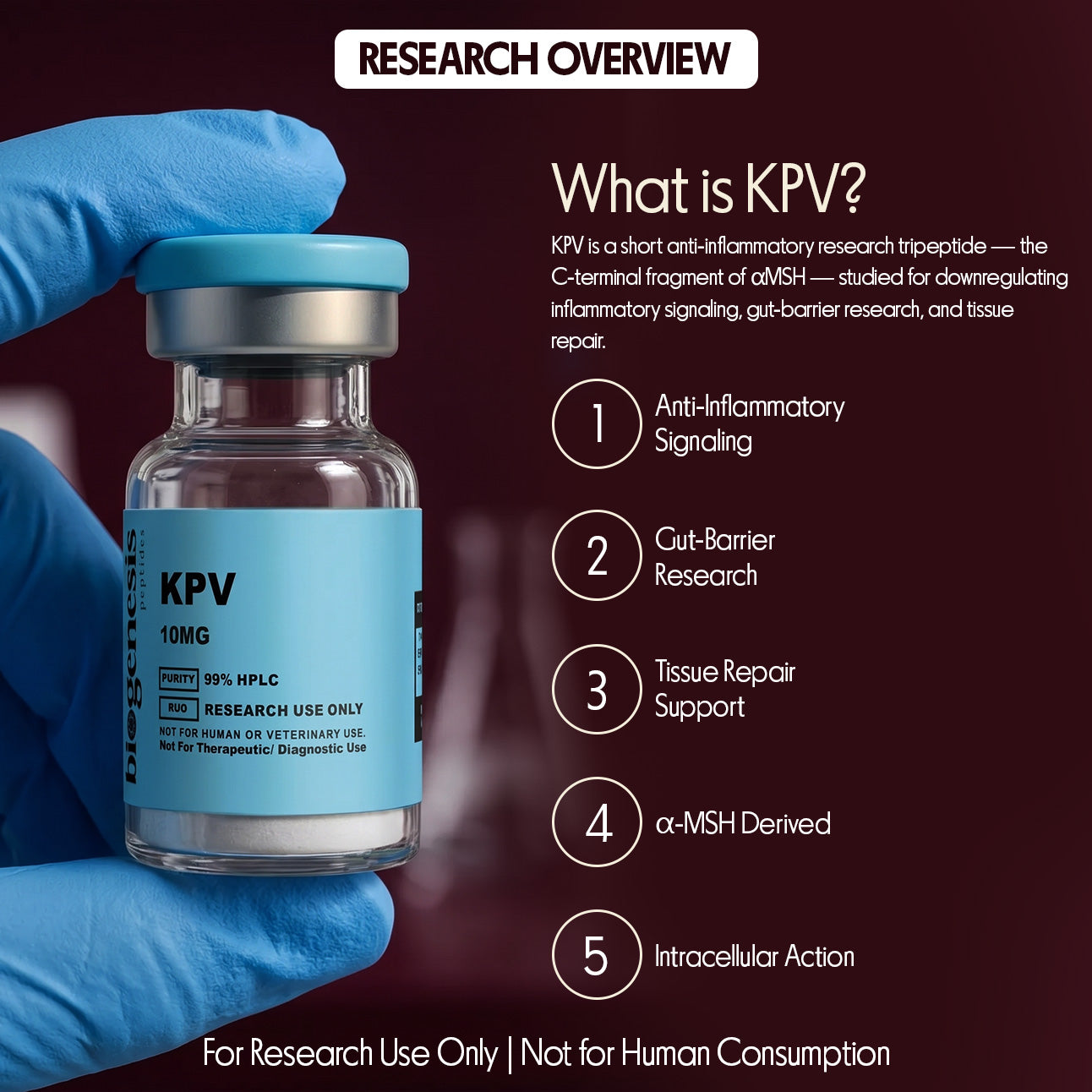 KPV · 10mg Anti-Inflammatory Tripeptide (Lys-Pro-Val)