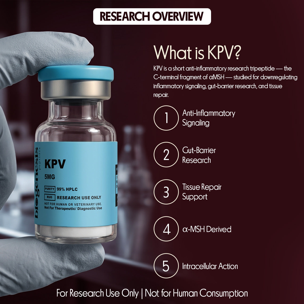 KPV · 5mg Anti-Inflammatory Tripeptide (Lys-Pro-Val)