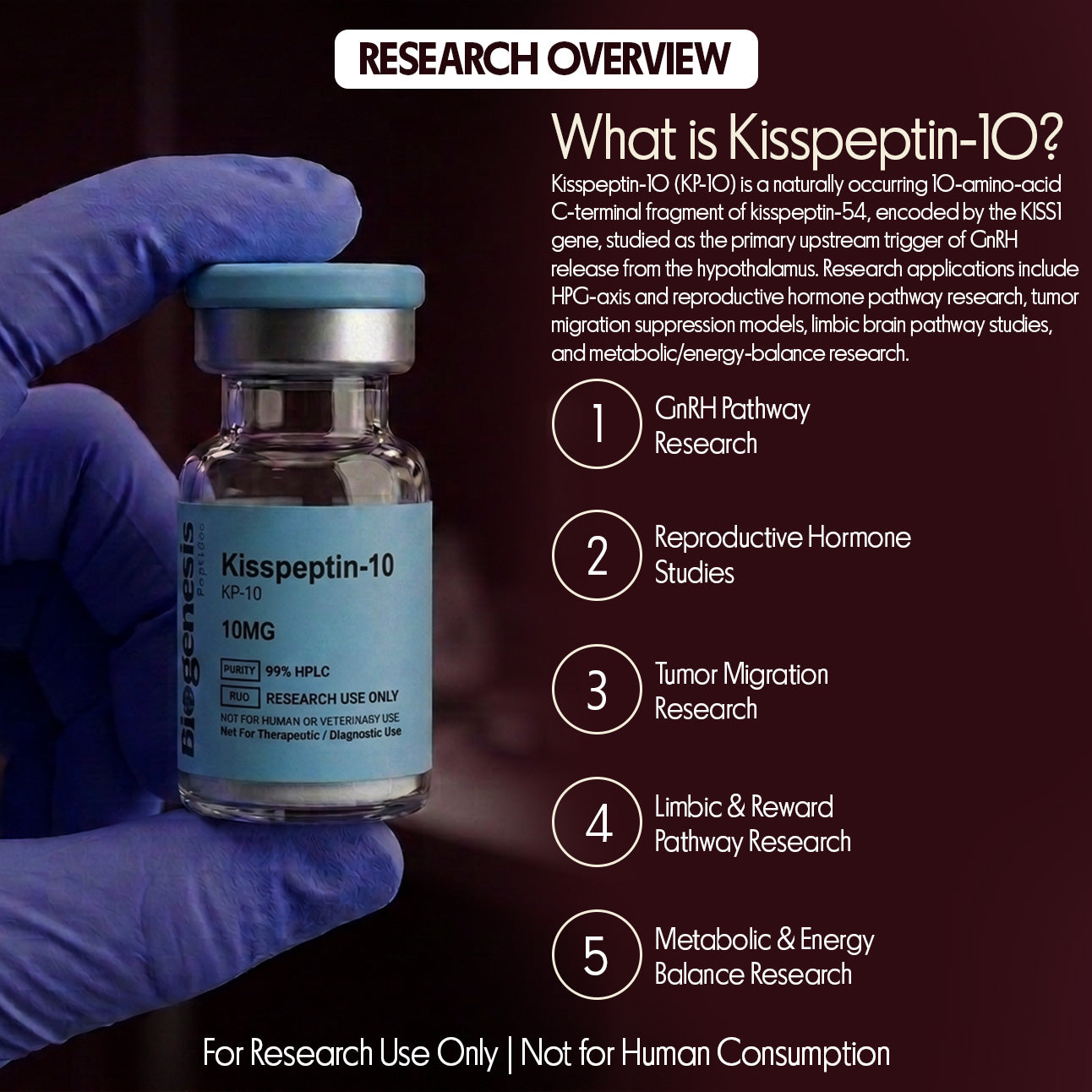 Kisspeptin-10 · 10mg KISS1R Agonist · 10 aa Decapeptide · HPG-Axis & Endocrine Research