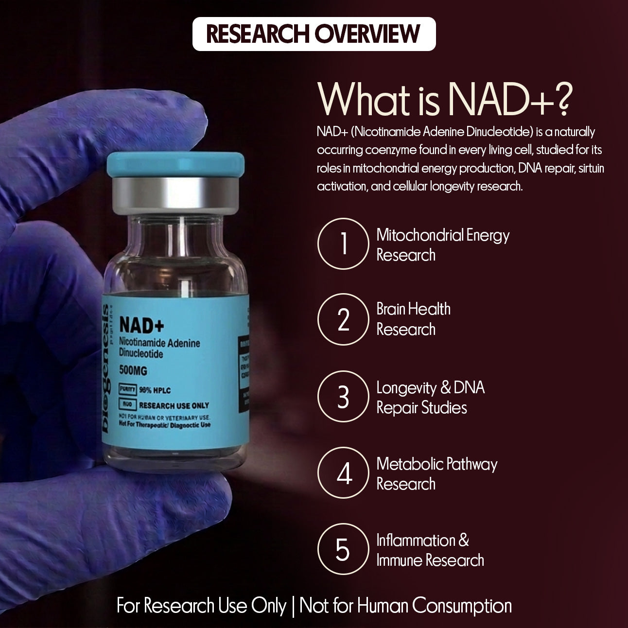 NAD+ 500mg Nicotinamide Adenine Dinucleotide · Cellular Energy & Longevity Research