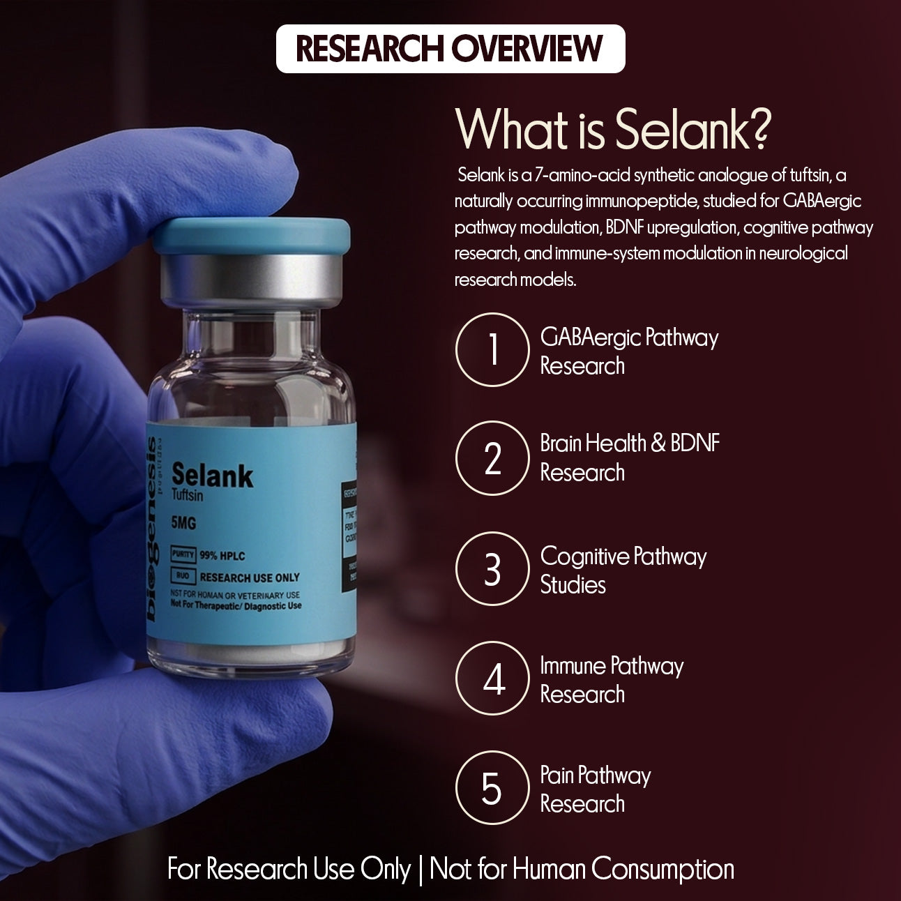 Selank · 5mg Tuftsin Synthetic Analogue · 7aa Heptapeptide · Neurological & Immune Research