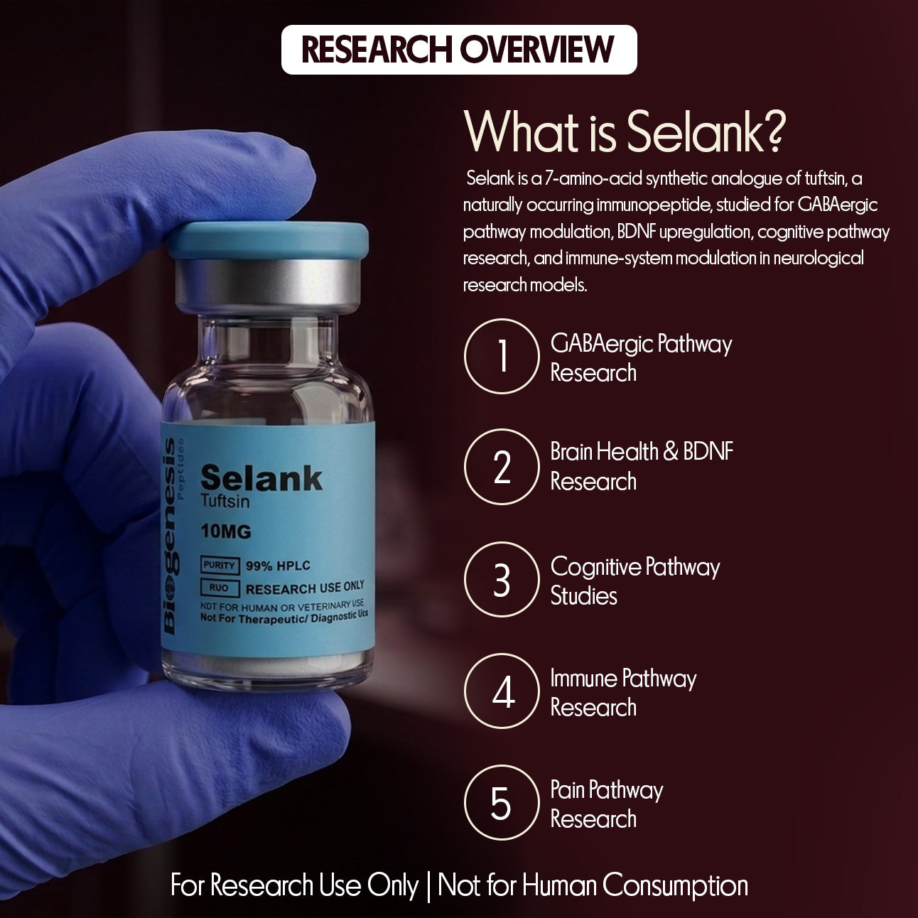 Selank · 10mg Tuftsin Synthetic Analogue · 7aa Heptapeptide · Neurological & Immune Research
