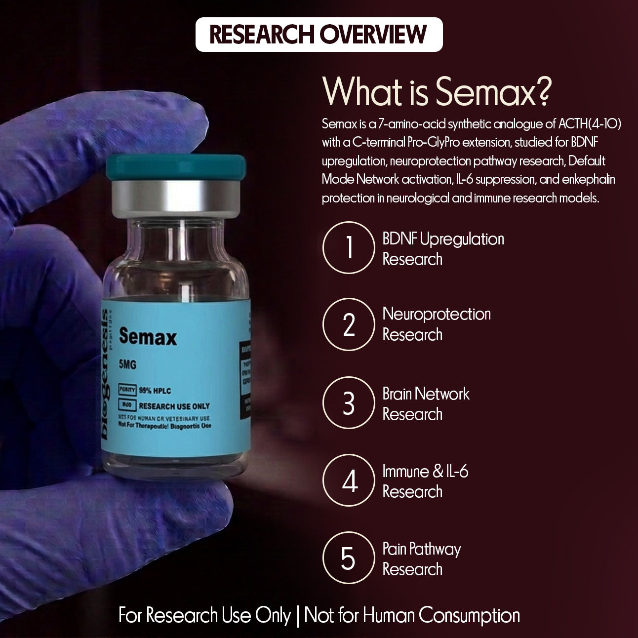 Semax · 5mg ACTH(4-10) Synthetic Analogue · 7 aa · Neuroprotection & Cognitive Research