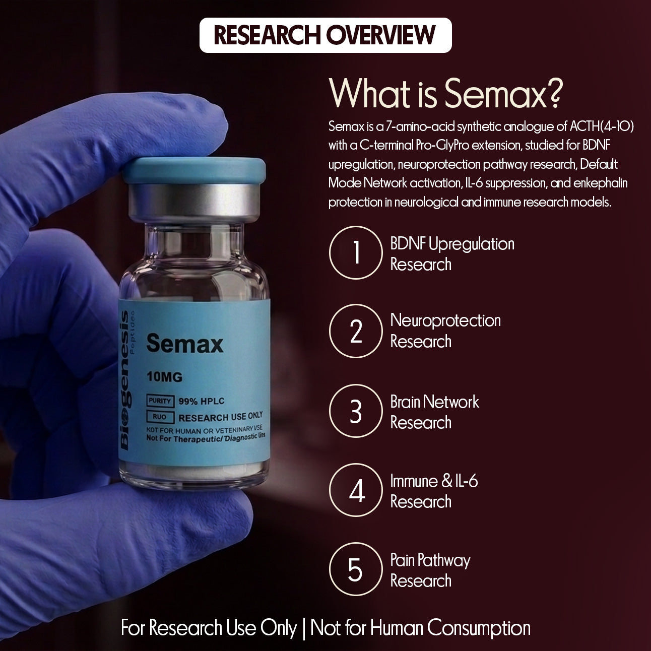 Semax · 10mg ACTH(4-10) Synthetic Analogue · 7 aa · Neuroprotection & Cognitive Research